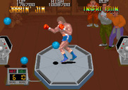 Final Round, The for Arcade - Punch all of the balls thrown your way!