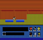 Romancia: Dragon Slayer Jr. for NES / Famicom - What are these two pools of water?