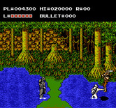 Adventures of Bayou Billy, The for NES / Famicom - Danger in the swamp...