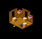 Solstice: The Quest for the Staff of Demnos for NES / Famicom - Watch out for that blob!