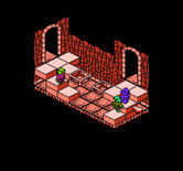 Solstice: The Quest for the Staff of Demnos for NES / Famicom - Climbing up some stairs.