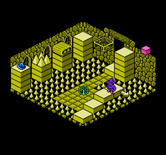 Solstice: The Quest for the Staff of Demnos for NES / Famicom - Another item, with another challenge to reach it!