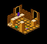 Solstice: The Quest for the Staff of Demnos for NES / Famicom - How do I get through here?