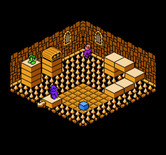 Solstice: The Quest for the Staff of Demnos for NES / Famicom - Boots! How can I reach them?