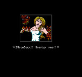 Solstice: The Quest for the Staff of Demnos for NES / Famicom - I'll need to run to the rescue!