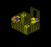 Solstice: The Quest for the Staff of Demnos for NES / Famicom - Avoid falling here...