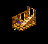 Solstice: The Quest for the Staff of Demnos for NES / Famicom - Game start.
