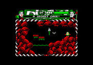 Dizzy: Prince of the Yolkfolk for Amstrad CPC - Exploring a cave.