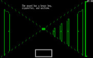 Asylum for IBM PC/Compatibles - Successfully defeated the guard this time...