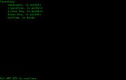 Asylum for IBM PC/Compatibles - The inventory screen.