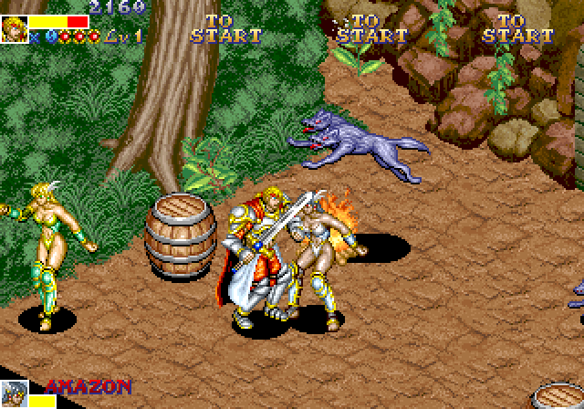 Dungeon Magic Arcade Screenshot: Lost in a forest...
