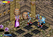 Dungeon Magic for Arcade - Some items can be picked up...