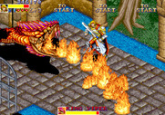 Dungeon Magic for Arcade - Don't get burned by King Viper!