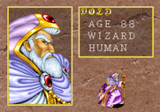 Dungeon Magic for Arcade - Character introduction: Vold.