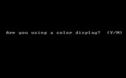 Strategy Games for IBM PC/Compatibles - Do you have a color display?