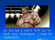 Prime Time Fighter for Arcade - Game over.
