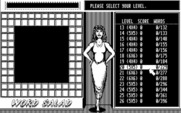 Getaway for IBM PC/Compatibles - Word Salad: Select a level.