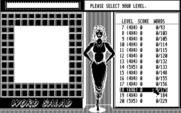 Getaway for IBM PC/Compatibles - Word Salad: Select a level.
