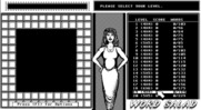 Getaway for IBM PC/Compatibles - Word Salad: Select a level.