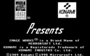 Teenage Mutant Ninja Turtles for IBM PC/Compatibles - Image Works presents...(European version).