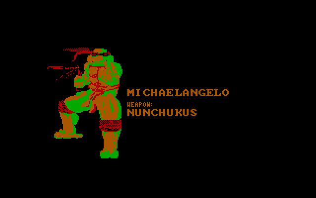 Teenage Mutant Ninja Turtles IBM PC/Compatibles Screenshot: Each turtle has an introduction screen.