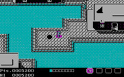Teenage Mutant Ninja Turtles for IBM PC/Compatibles - Exiting a sewer in a new location.