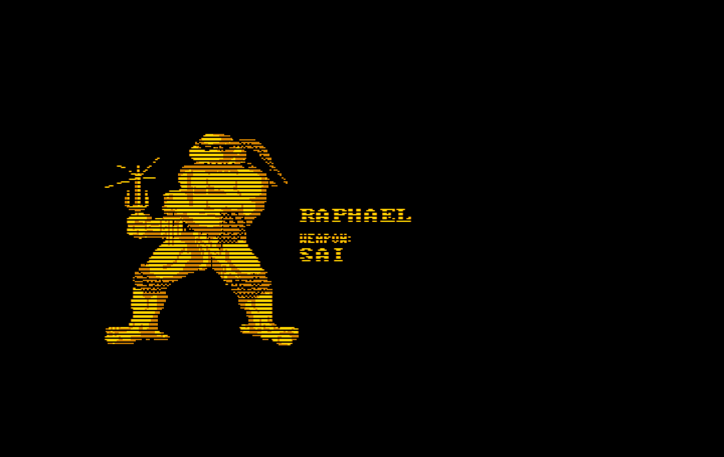 Teenage Mutant Ninja Turtles IBM PC/Compatibles Screenshot: Each turtle has an introduction screen.