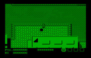 Teenage Mutant Ninja Turtles for IBM PC/Compatibles - Game start.