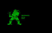 Teenage Mutant Ninja Turtles for IBM PC/Compatibles - Each turtle has an introduction screen.