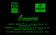 Teenage Mutant Ninja Turtles for IBM PC/Compatibles - Image Works presents...(European version).