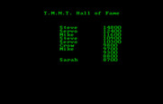 Teenage Mutant Ninja Turtles for IBM PC/Compatibles - High scores.