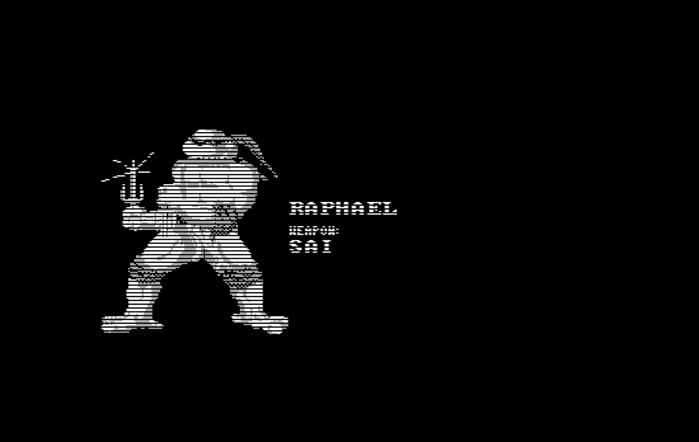 Teenage Mutant Ninja Turtles IBM PC/Compatibles Screenshot: Each turtle has an introduction screen.