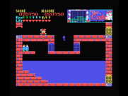 Castle, The for MSX - You'll need an air tank to swim here...