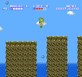 Zelda II: The Adventure of Link for NES / Famicom - Jump over these gaps.