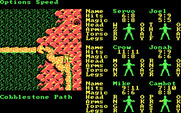Phantasie III: The Wrath of Nikademus for IBM PC/Compatibles - Walking down a cobblestone path.