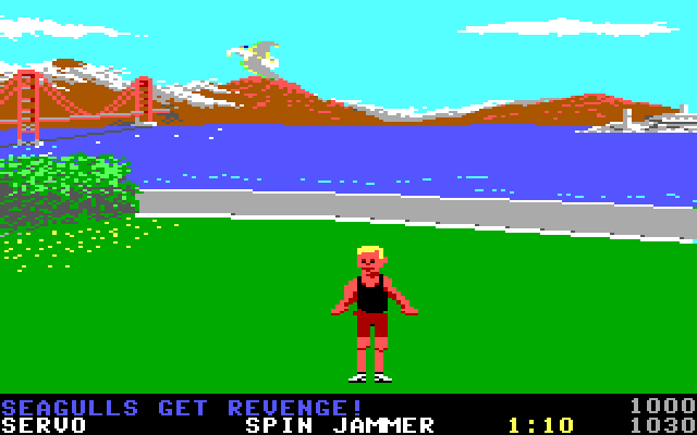 California Games IBM PC/Compatibles Screenshot: Seagulls get revenge!