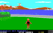 California Games for IBM PC/Compatibles - Seagulls get revenge!