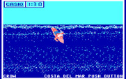 California Games for IBM PC/Compatibles - Surfing start.
