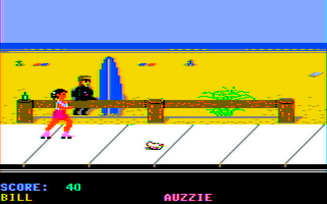 California Games IBM PC/Compatibles Screenshot: The surfer whistles as you skate past...