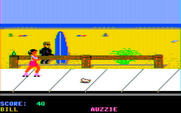 California Games for IBM PC/Compatibles - The surfer whistles as you skate past...