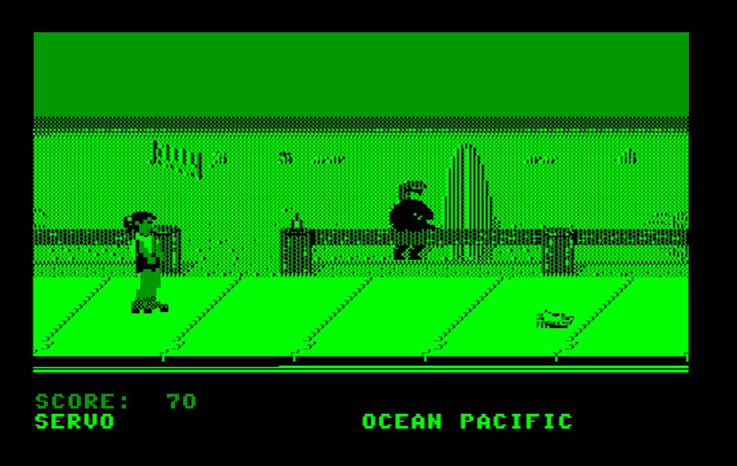 California Games IBM PC/Compatibles Screenshot: This surfer whistles as you skate past...