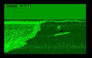 California Games for IBM PC/Compatibles - Surfing results.