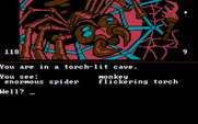 Dallas Quest, The for IBM PC/Compatibles - I'm in a torch-lit cave...with an enormous spider!