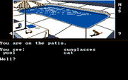 Dallas Quest, The for IBM PC/Compatibles - The pool out back...