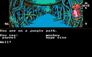 Dallas Quest, The for IBM PC/Compatibles - The jungle can be dangerous...watch out!