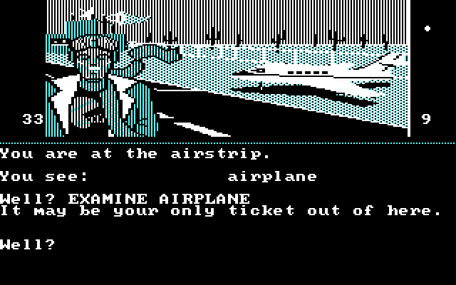 Dallas Quest, The IBM PC/Compatibles Screenshot: An airplane! Just the thing to escape unnoticed...