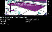 Dallas Quest, The for IBM PC/Compatibles - The pool out back...ooh, sunglasses!