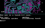 Dallas Quest, The for IBM PC/Compatibles - In a torch-lit cave with an enourmous spider!