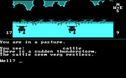 Dallas Quest, The for IBM PC/Compatibles - It's getting stormy, be careful out in the pasture...