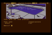 Dallas Quest, The for Atari 8-bit - The pool out back.